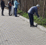Субботник в образовательных учреждениях - Озерский городской округ