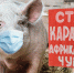 Не допустить распространения! - Газета Знамя Труда