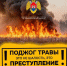 В Калининградской области введен особый противопожарный режим. - Озерский городской округ