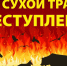 Палы травы – преступление! - Озерский городской округ